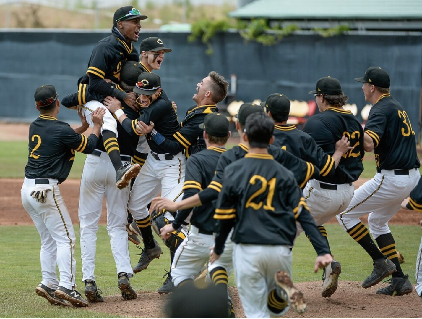 alamogordo youth baseball